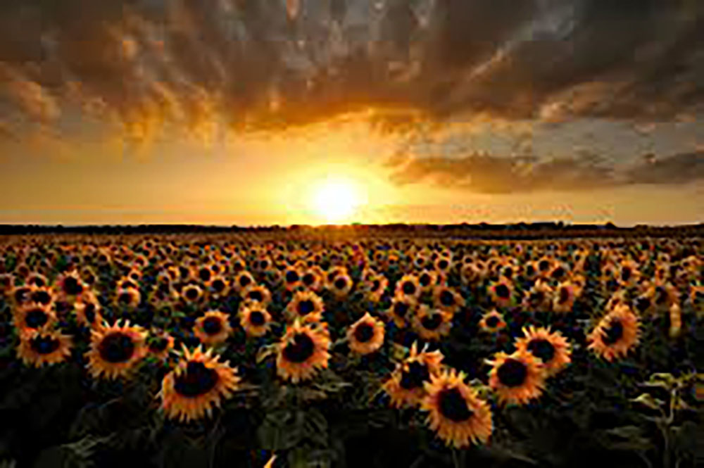 São Chegados os Tempos